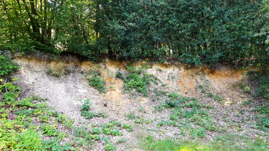Vaals-Geologisch monument Zevenwegen (4)