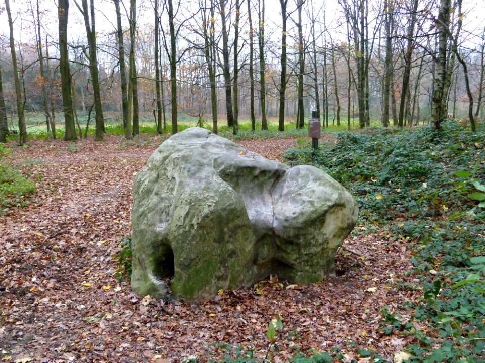 Vaals-Geologisch monument Grindgroeve Elzetterbosch (3)