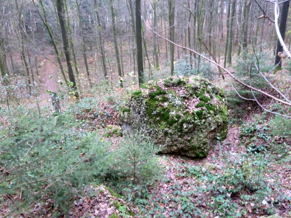 Vaals-Geologisch monument Sterrenstenen Vijlenerbosch (3)