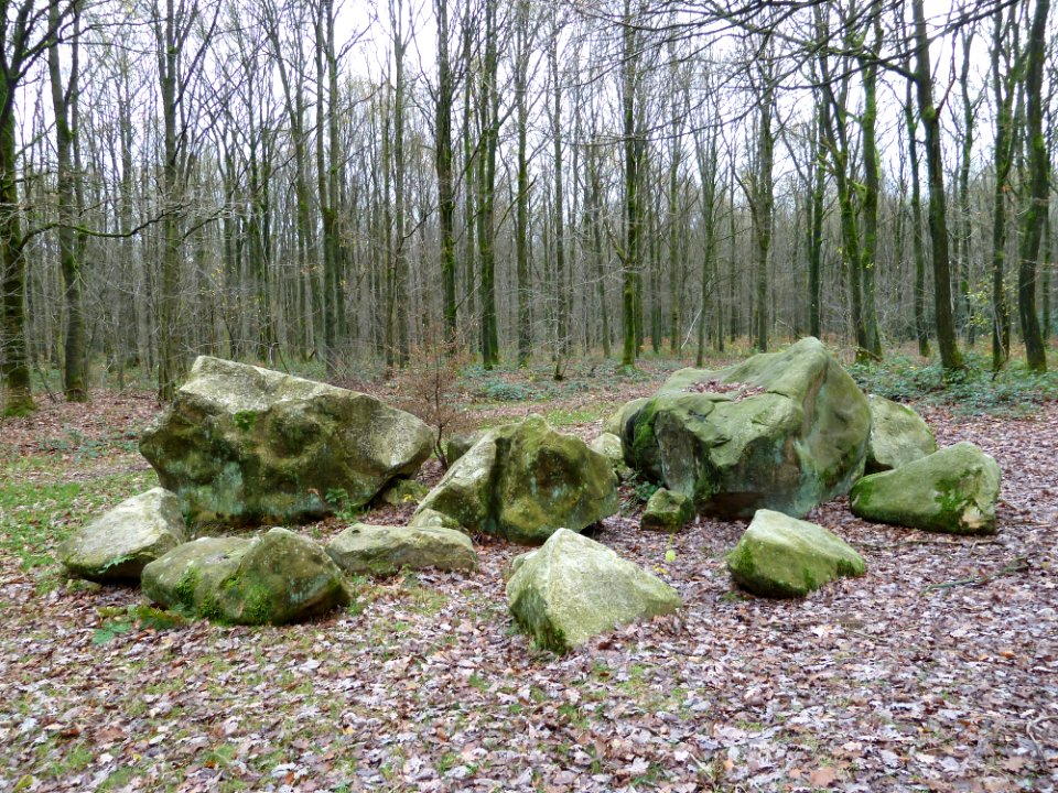 Vaals-Zandsteenblokken Vijlenerbossen (5)