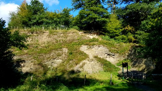 Vaals-Geologisch monument Heimansgroeve (14)