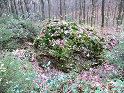 Vaals-Geologisch monument Sterrenstenen Vijlenerbosch (5)