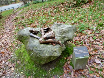 Vaals-Grafheuvelgroep Malensbosch heuvel 1 (2)