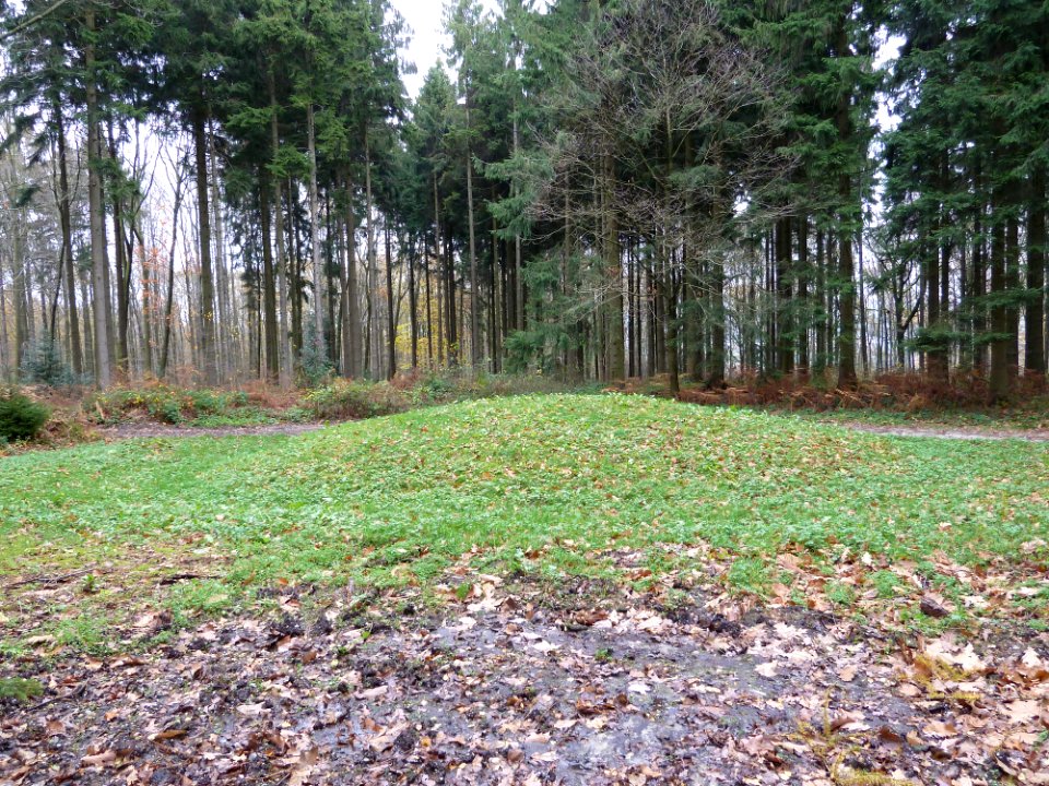 Vaals-Grafheuvelgroep Malensbosch heuvel 2 (3)