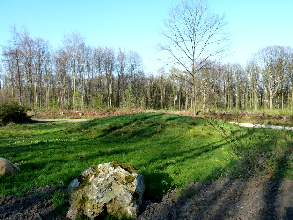 Vaals-Grafheuvelgroep Malensbosch heuvel 2 (4)