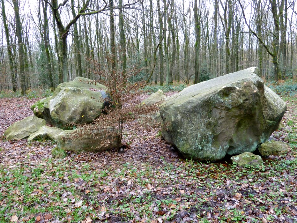 Vaals-Zandsteenblokken Vijlenerbossen (3)