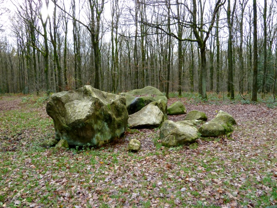 Vaals-Zandsteenblokken Vijlenerbossen (2)