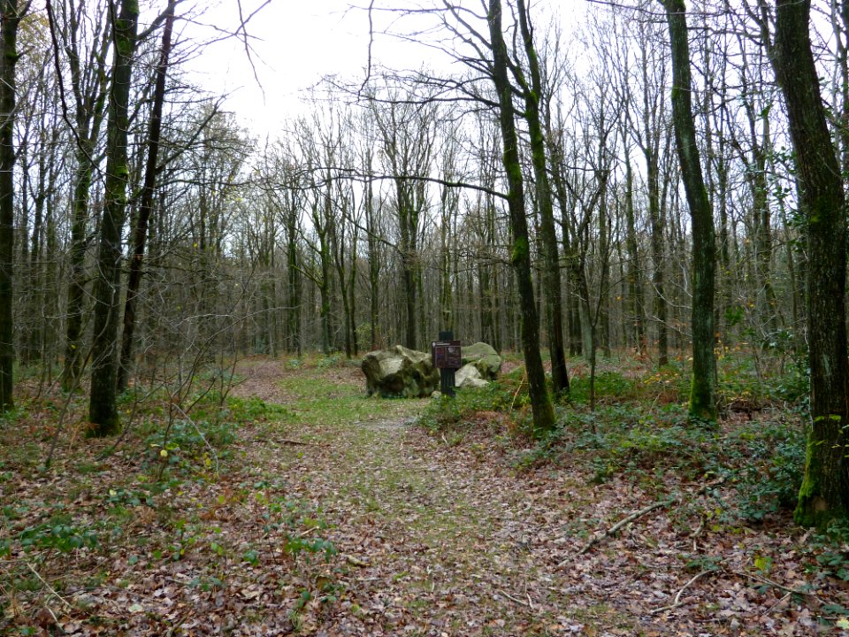 Vaals-Zandsteenblokken Vijlenerbossen (1)