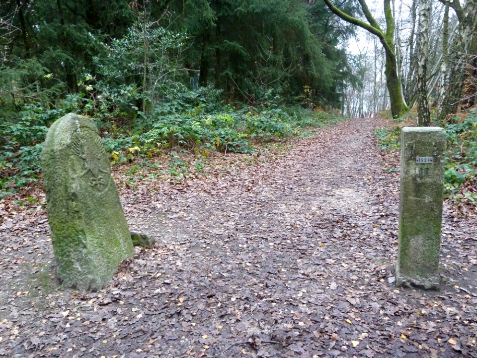 Vaals-Grenssteen achter Wilhelminatoren (5)