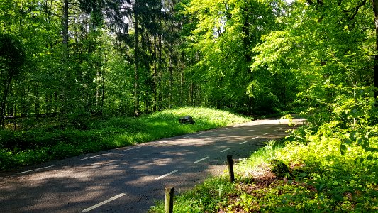 Vaals-Grafheuvel Vaalserberg (3)