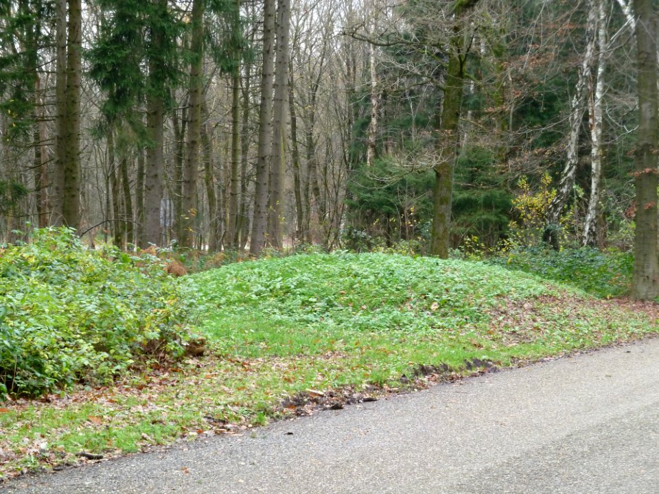Vaals-Grafheuvel Vaalserberg (1)