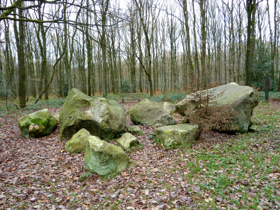 Vaals-Zandsteenblokken Vijlenerbossen (4)
