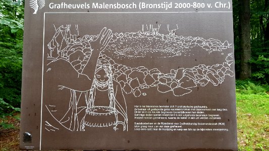 Vaals-Grafheuvelgroep Malensbosch heuvel 1 (5)