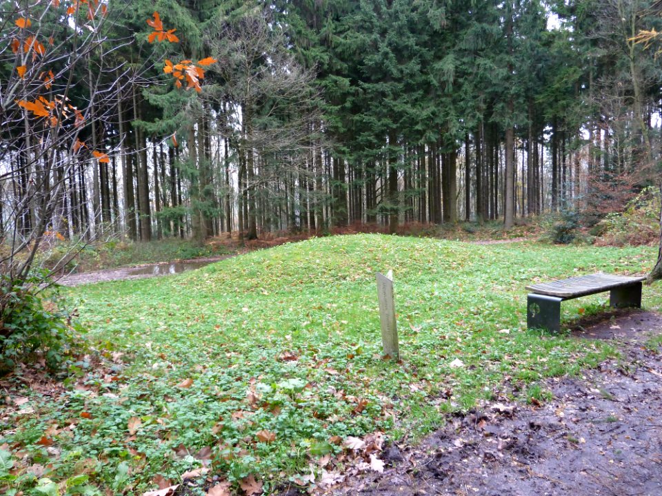 Vaals-Grafheuvelgroep Malensbosch heuvel 2 (1)
