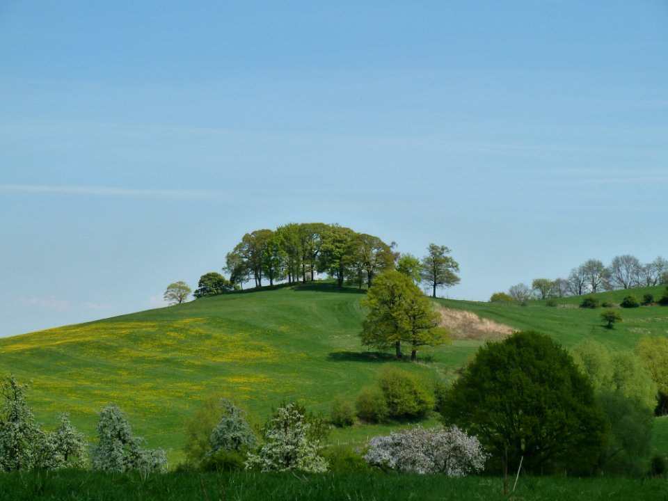 Vaals-Bokkebosje (2)