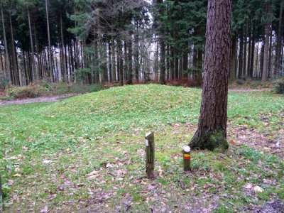 Vaals-Grafheuvelgroep Malensbosch heuvel 2 (2)