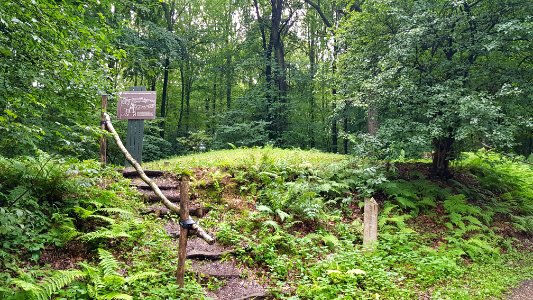 Vaals-Grafheuvelgroep Malensbosch heuvel 1 (7)