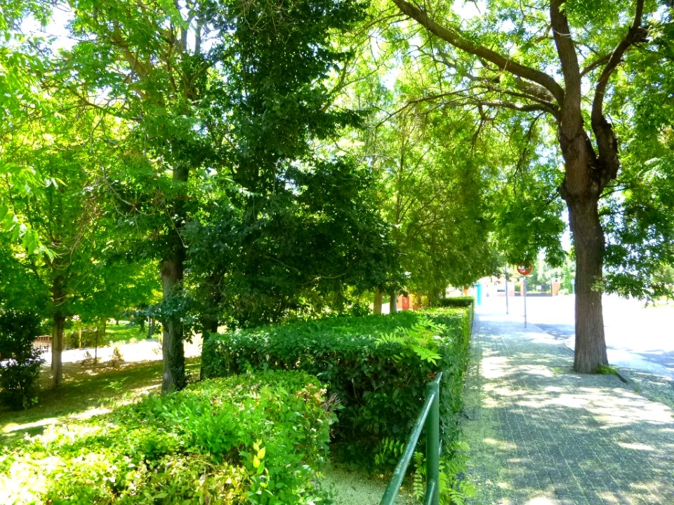 Valdemoro - Parque de Enrique Tierno Galván 5