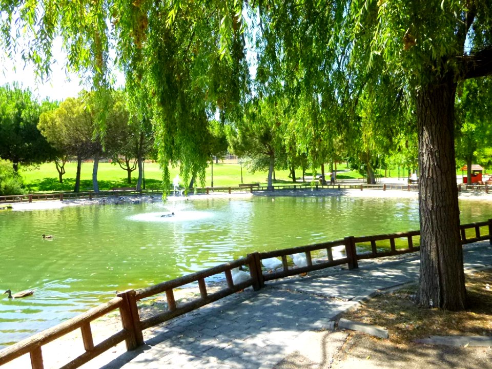 Valdemoro - Parque de Enrique Tierno Galván 3