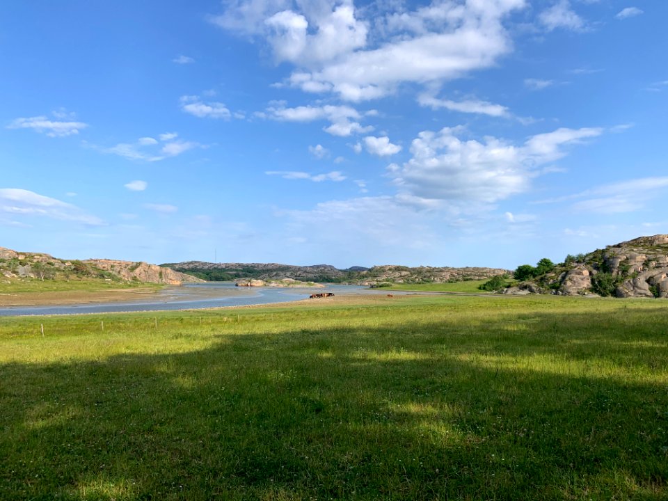 Valöns naturreservat Bergsvikfjorden