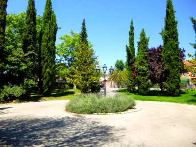 Valdemoro - Parque de Enrique Tierno Galván 4