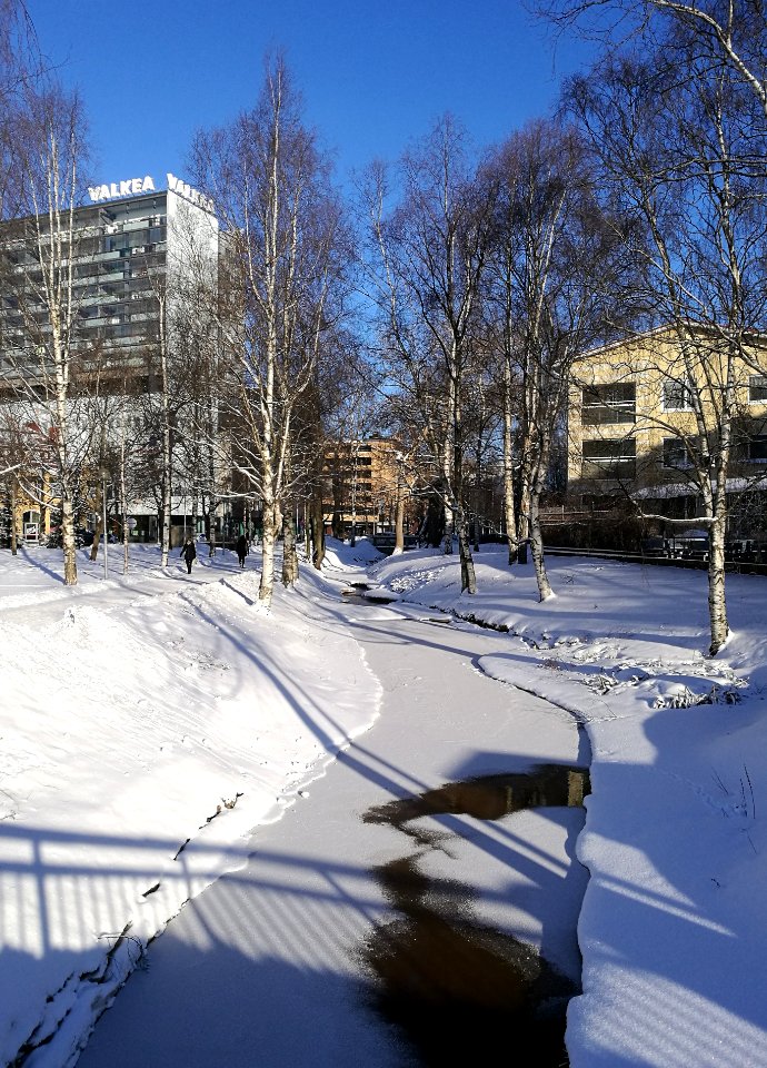Vaaranpuisto Oulu 20170221