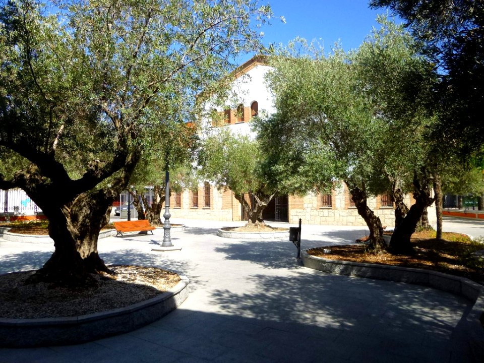 Valdemoro - Ermita del Santísimo Cristo de la Salud 9