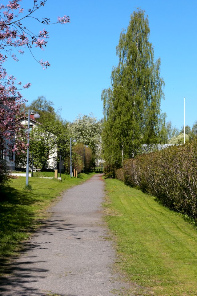 Värtönkuja Oulu 20210530 01