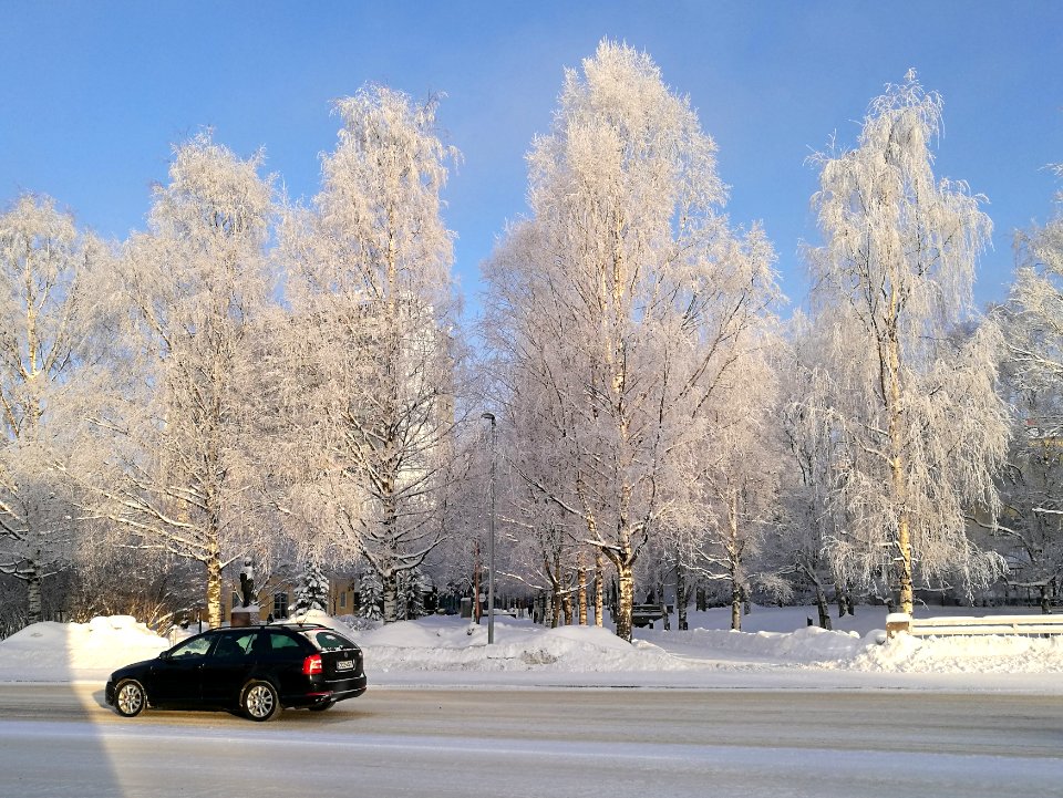 Vaaranpuisto Oulu 20190131