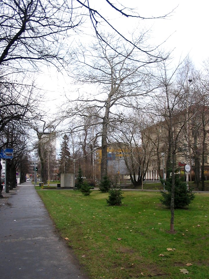 Vaaranpuisto Oulu 20051113