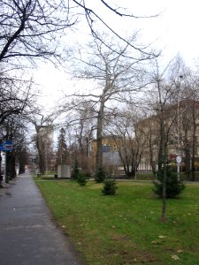 Vaaranpuisto Oulu 20051113