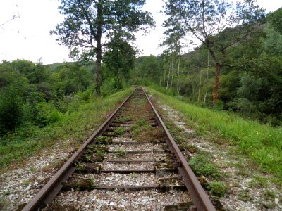 Vélo-Rail de Pont-Erambourg, Orne 05