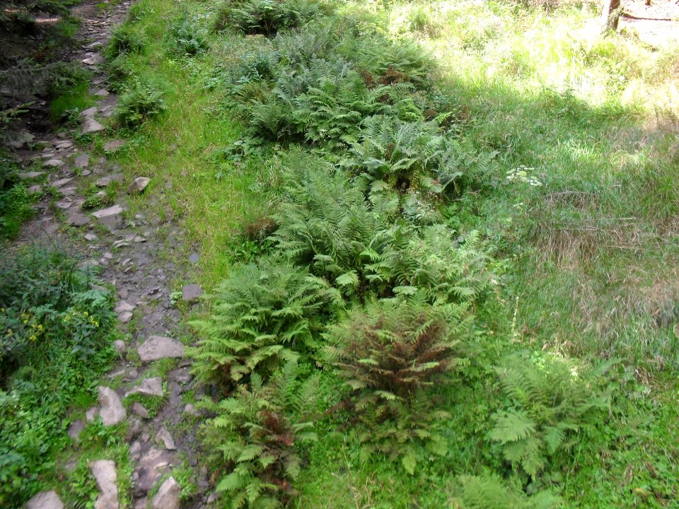 Výlet na Klet - 28 srpna 2009 30