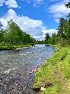 Vålådalens naturreservat Lunndörrsån