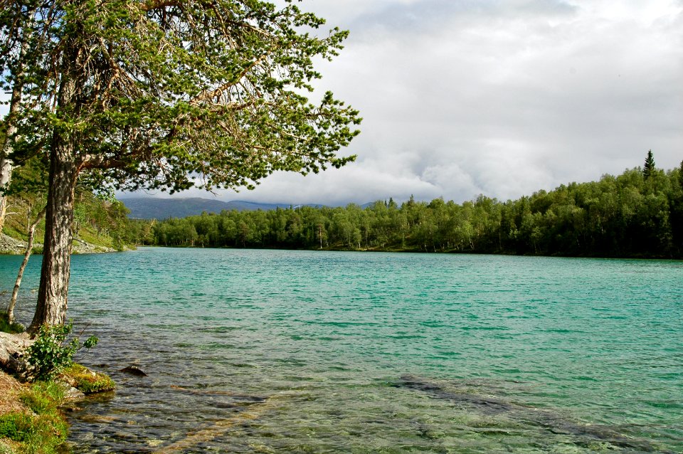 Vålådalens naturreservat Blanktjärnarna
