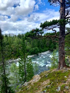 Vålådalens naturreservat Vålån vid Vålåfallet