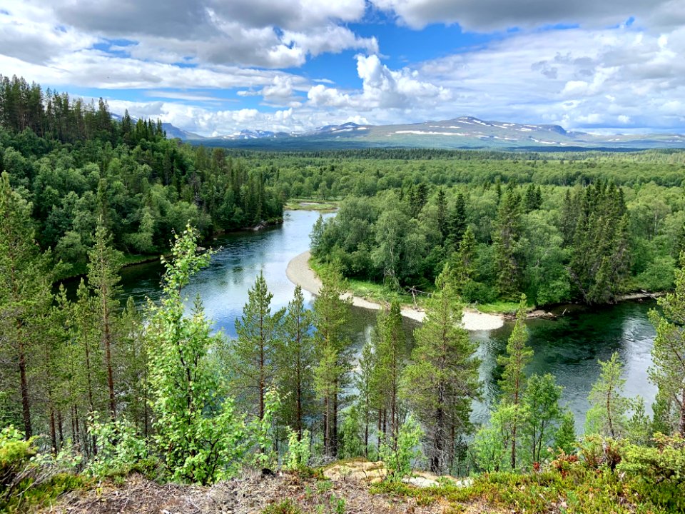 Vålådalens naturreservat Vålå