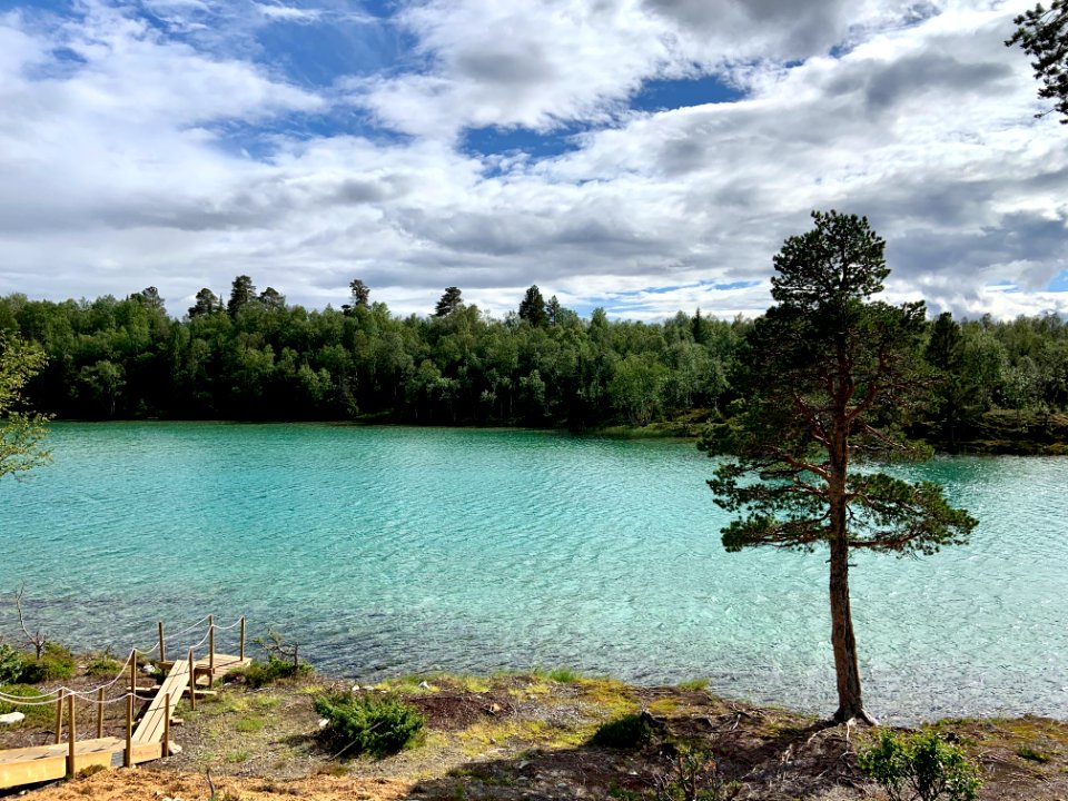 Vålådalens naturreservat Östra Blanktjärnarna