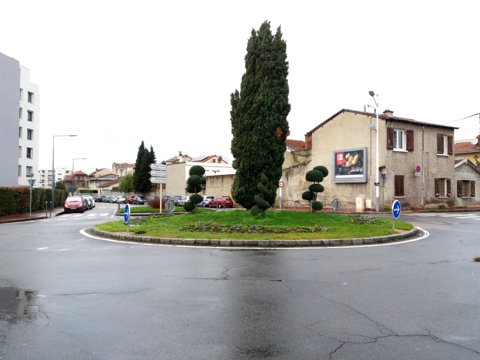 Vénissieux - Rue Professeur Roux, rond-point à l'intersection des rues Ludovic Bonin et Louise Michel