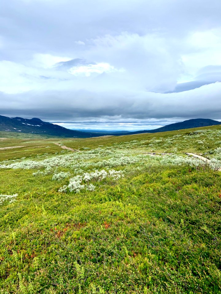 Vålådalens naturreservat landskap
