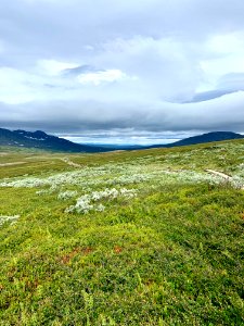 Vålådalens naturreservat landskap