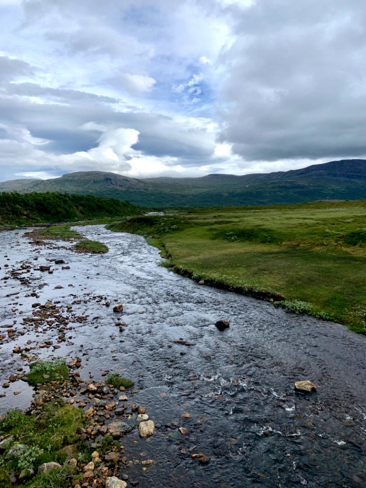 Vålådalens naturreservat älv