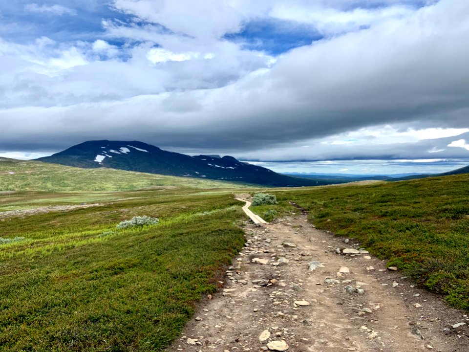 Vålådalens naturreservat stigen