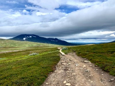 Vålådalens naturreservat stigen