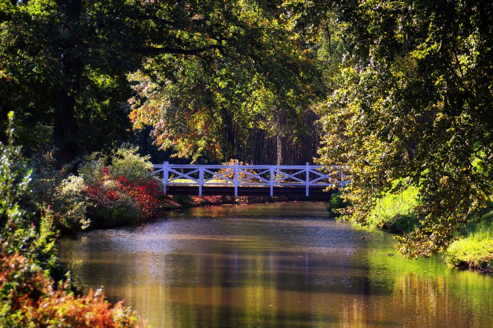 Romantic nature water
