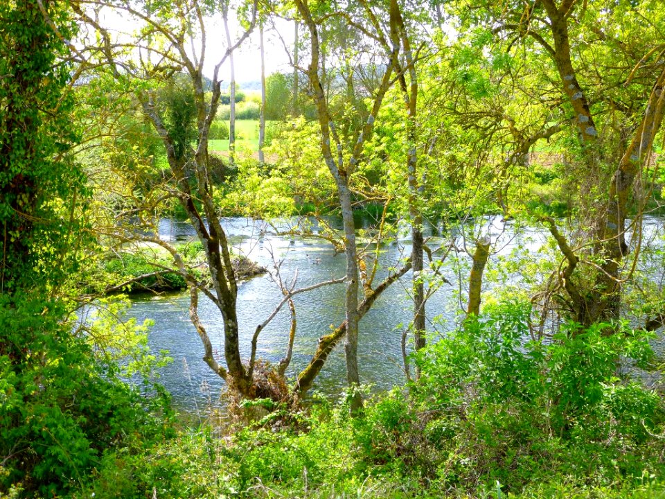 Víllodas - Río Zadorra 1