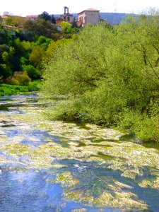 Víllodas - Río Zadorra 5