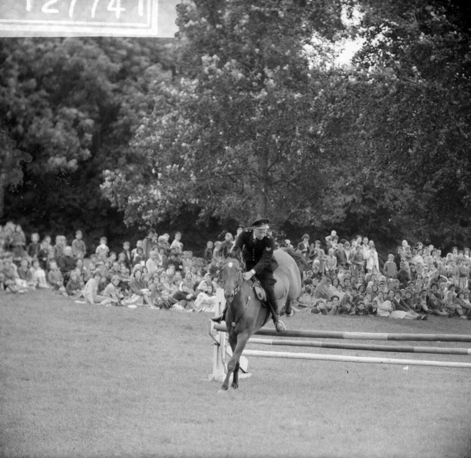 Vakantiefeesten in het Amsterdamse Bos . Politieagent te paard tijdens demonstra, Bestanddeelnr 912-7741