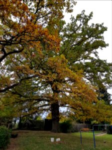 Valkenburg-Galg op de Emmaberg (6)