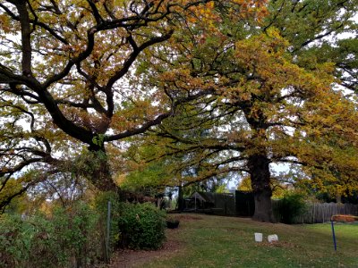 Valkenburg-Galg op de Emmaberg (7)